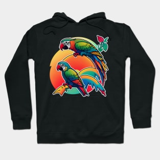 macaw in front of a vintage sunset, vintage design vector graphics, contour, Hoodie